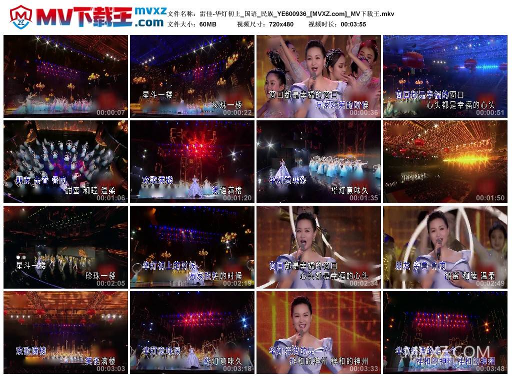 雷佳-华灯初上_国语_民族_YE600936